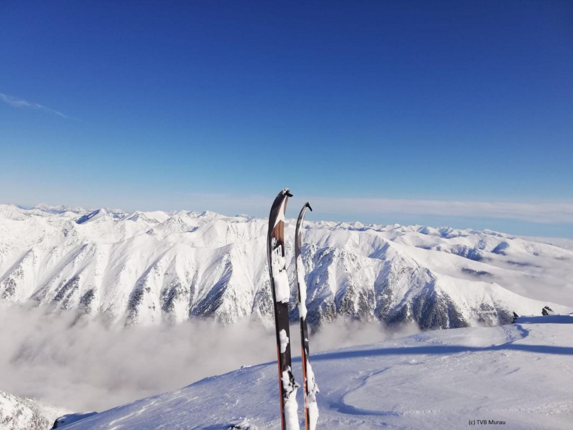 Alpenpark Turrach By Alps