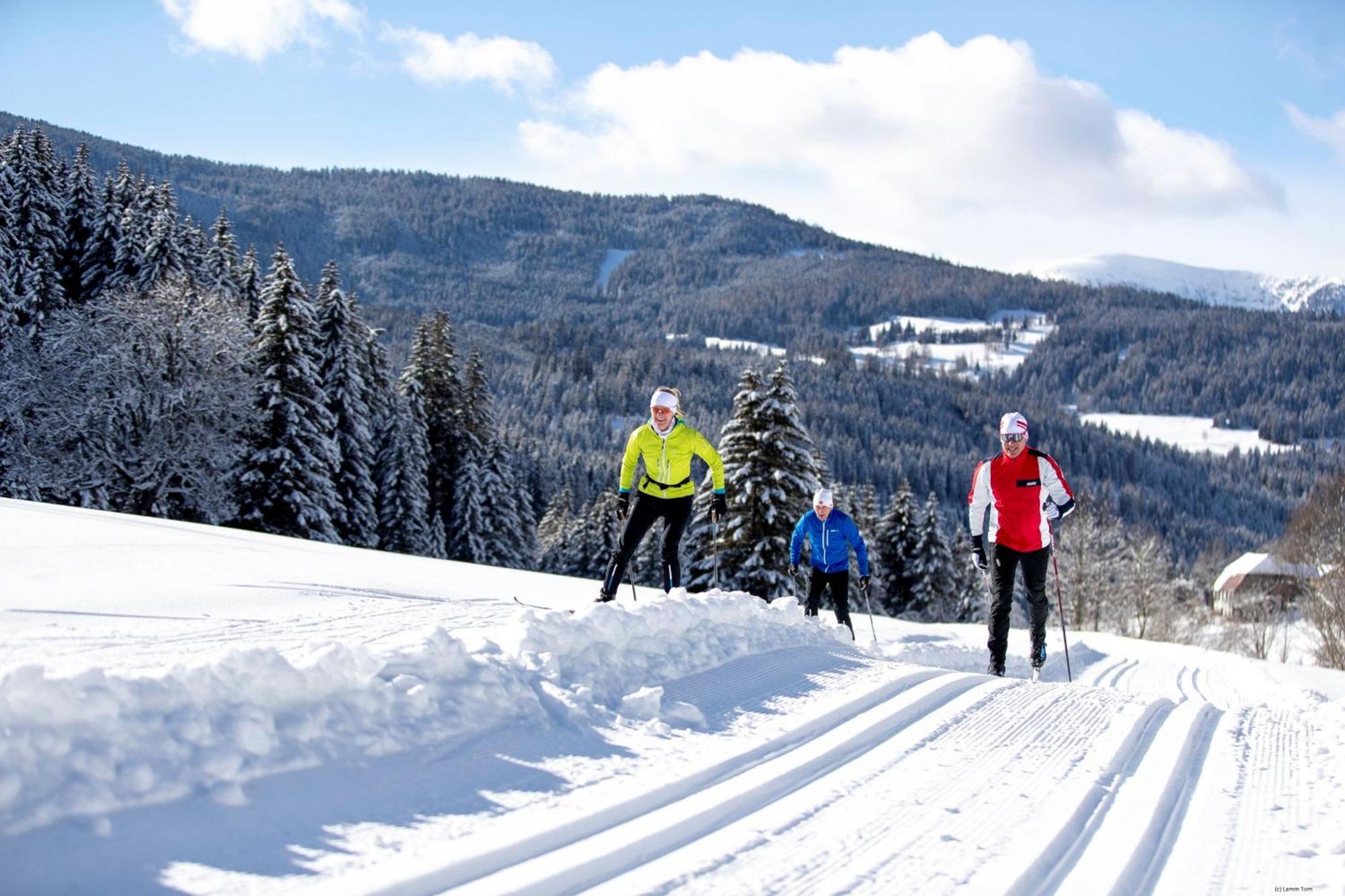 Domek alpejski Alpenpark Turrach By Alps Turracher Hohe