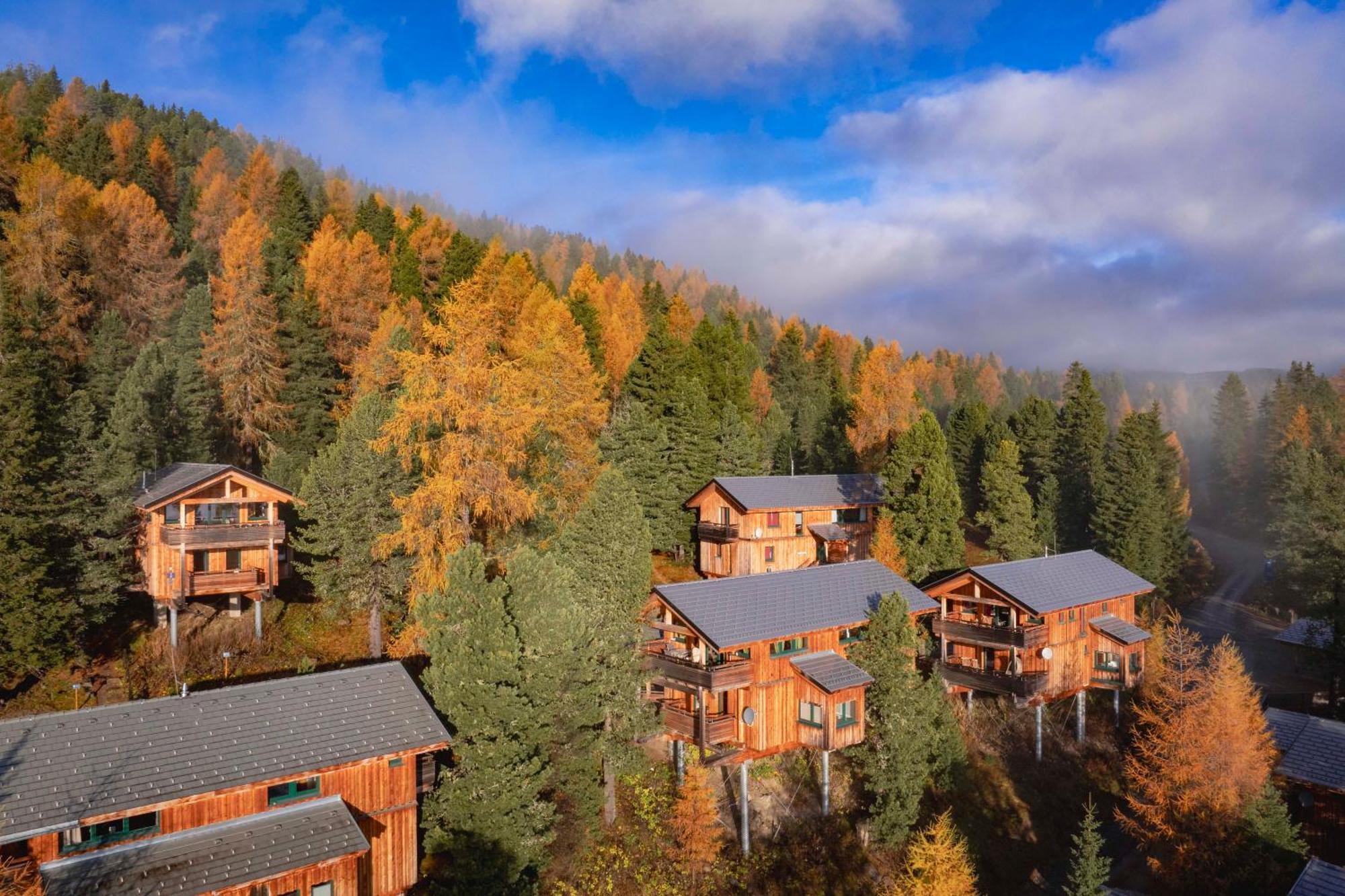 Chalet Alpenpark Turrach By Alps Turracher Hohe