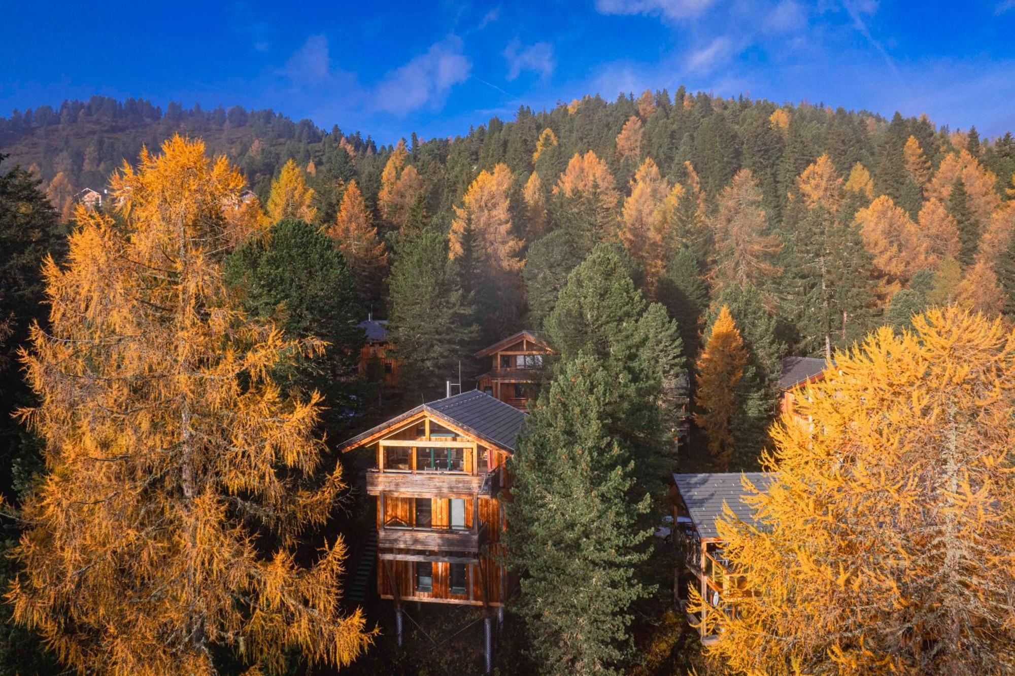Alpenpark Turrach By Alps Turracher Hohe